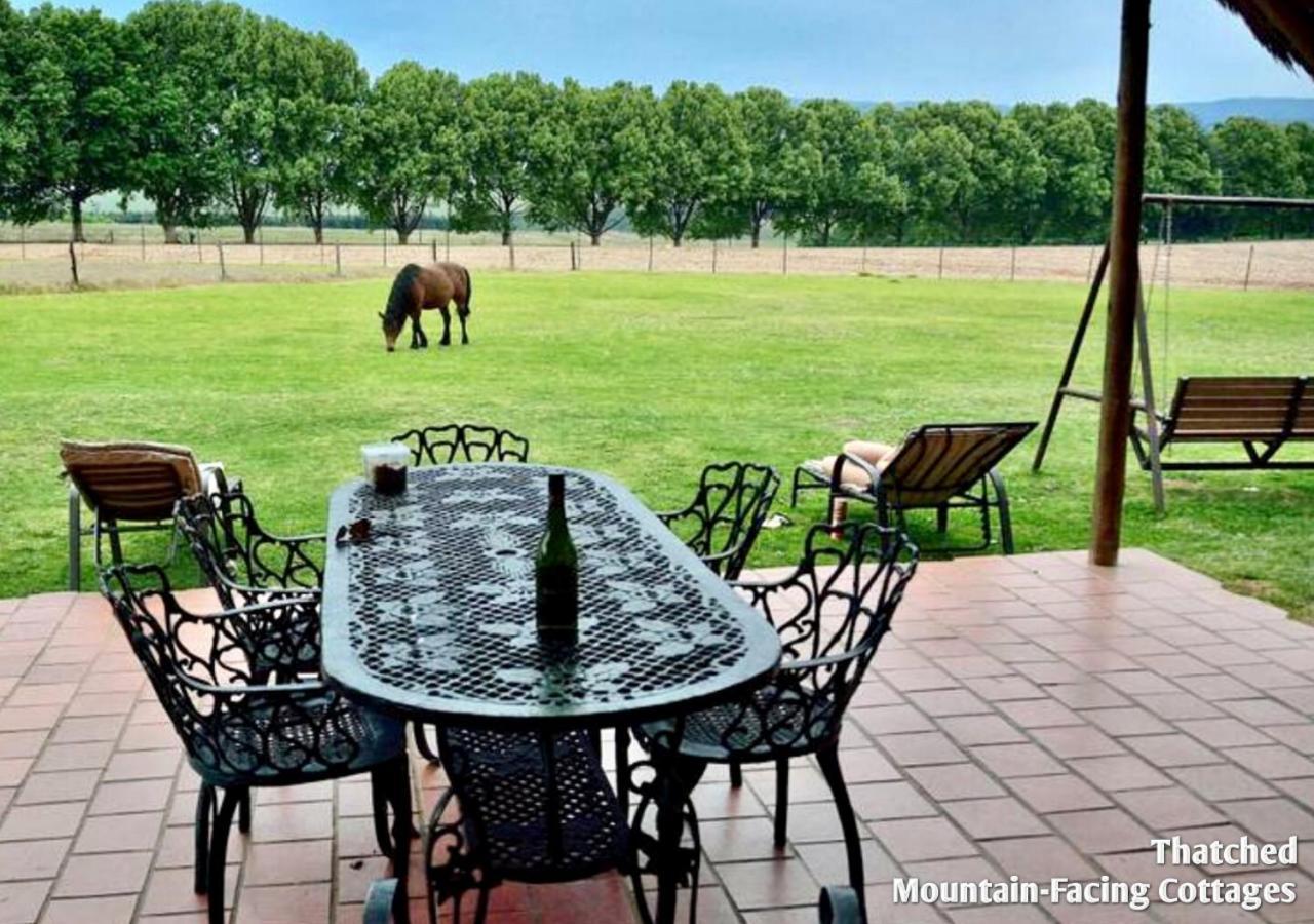 Ardmore Guest Farm Champagne Valley エクステリア 写真